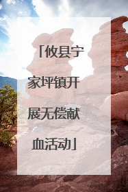 攸县宁家坪镇开展无偿献血活动