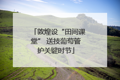 敦煌设“田间课堂” 送技葡萄管护关键时节