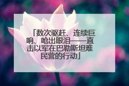 数次驱赶、连续巨响、呛出眼泪——直击以军在巴勒斯坦难民营的行动