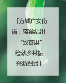 方城广安街道：蓝莓结出 “致富果” 绘就乡村振兴新图景