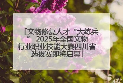 文物修复人才“大练兵” 2025年全国文物行业职业技能大赛四川省选拔赛即将启幕