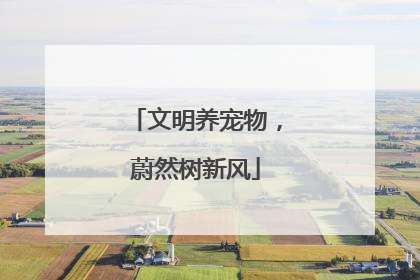 文明养宠物,蔚然树新风