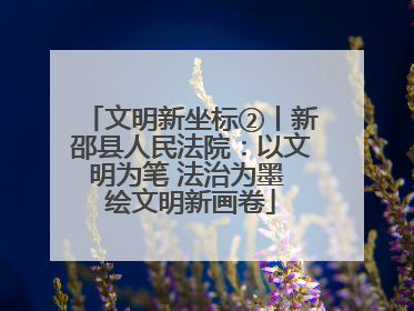 文明新坐标②丨新邵县人民法院：以文明为笔 法治为墨 绘文明新画卷