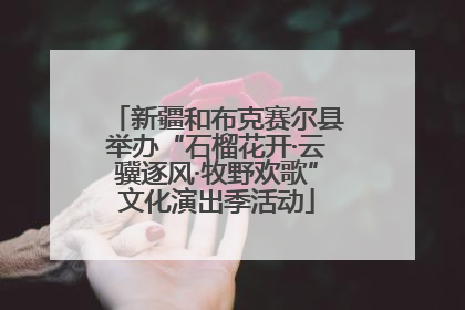 新疆和布克赛尔县举办“石榴花开·云骥逐风·牧野欢歌”文化演出季活动