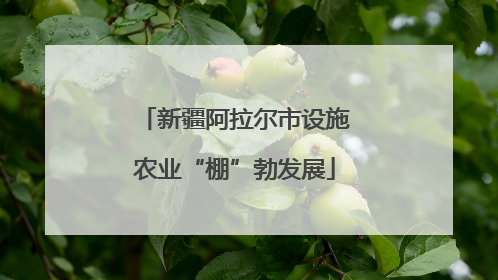 新疆阿拉尔市设施农业“棚”勃发展