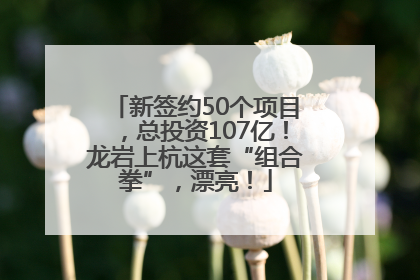 新签约50个项目，总投资107亿！龙岩上杭这套“组合拳”，漂亮！