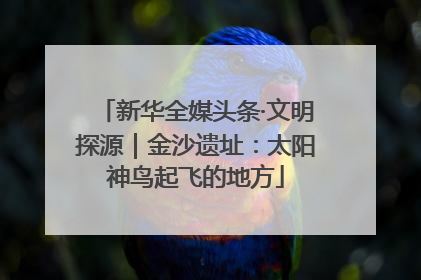 新华全媒头条·文明探源｜金沙遗址：太阳神鸟起飞的地方