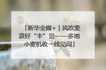 新华全媒+｜风吹麦浪好“丰”景——多地小麦机收一线见闻