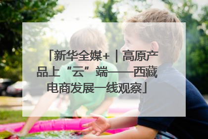 新华全媒+｜高原产品上“云”端——西藏电商发展一线观察