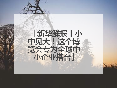 新华鲜报丨小中见大！这个博览会专为全球中小企业搭台