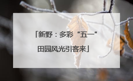新野：多彩“五一” 田园风光引客来