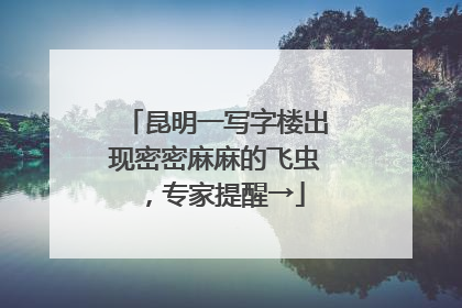 昆明一写字楼出现密密麻麻的飞虫，专家提醒→