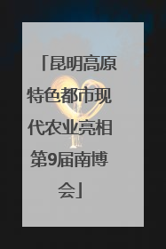 昆明高原特色都市现代农业亮相第9届南博会