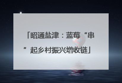 昭通盐津：蓝莓“串”起乡村振兴增收链