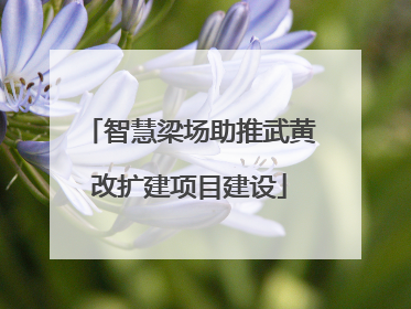 智慧梁场助推武黄改扩建项目建设
