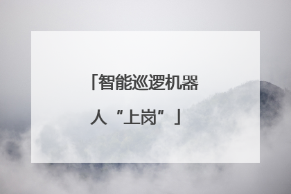 智能巡逻机器人“上岗”