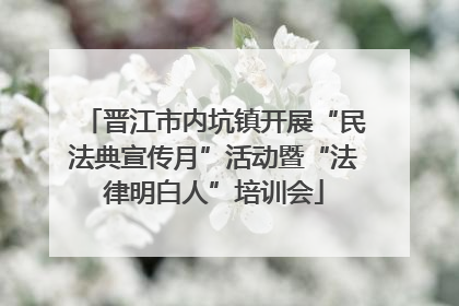 晋江市内坑镇开展“民法典宣传月”活动暨“法律明白人”培训会