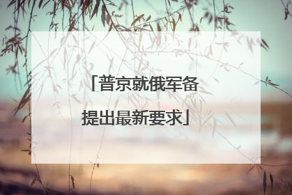 普京就俄军备提出最新要求