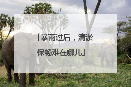 暴雨过后，清淤保畅难在哪儿