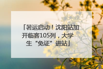 暑运启动！沈阳站加开临客105列，大学生“免证”进站