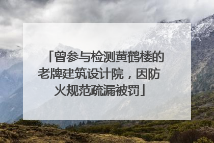 曾参与检测黄鹤楼的老牌建筑设计院，因防火规范疏漏被罚