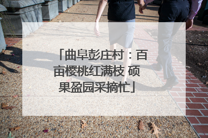 曲阜彭庄村：百亩樱桃红满枝 硕果盈园采摘忙