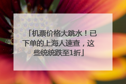 机票价格大跳水！已下单的上海人速查，这些统统跌至1折