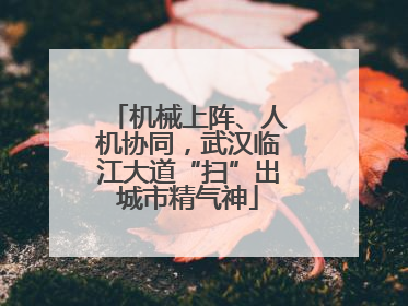 机械上阵、人机协同，武汉临江大道“扫”出城市精气神