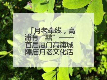 月老牵线，高浦有“囍”——首届厦门高浦城隍庙月老文化活动暨他趣百城见面会隆重举办
