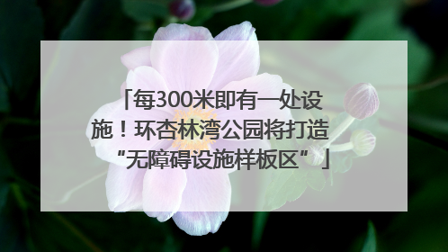 每300米即有一处设施！环杏林湾公园将打造“无障碍设施样板区”