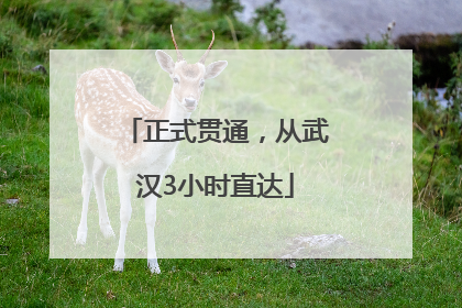 正式贯通，从武汉3小时直达