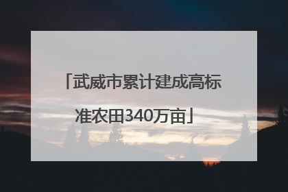 武威市累计建成高标准农田340万亩