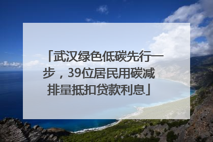 武汉绿色低碳先行一步，39位居民用碳减排量抵扣贷款利息