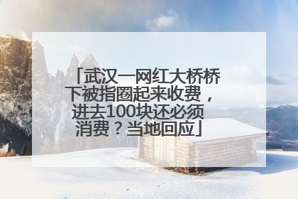 武汉一网红大桥桥下被指圈起来收费，进去100块还必须消费？当地回应