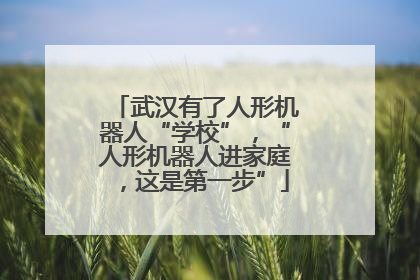 武汉有了人形机器人“学校”，“人形机器人进家庭，这是第一步”