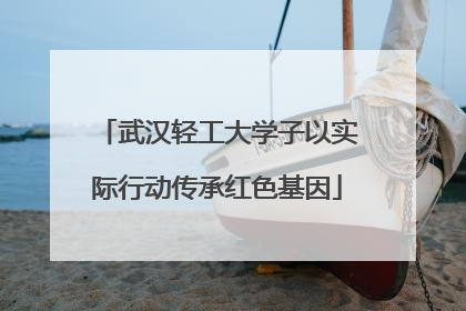 武汉轻工大学子以实际行动传承红色基因