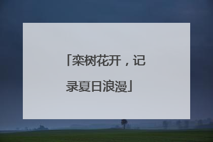 栾树花开，记录夏日浪漫