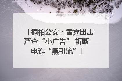 桐柏公安：雷霆出击严查“小广告” 斩断电诈“黑引流”