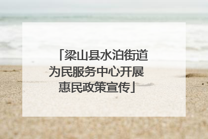 梁山县水泊街道为民服务中心开展惠民政策宣传