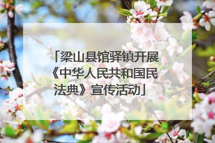 梁山县馆驿镇开展《中华人民共和国民法典》宣传活动