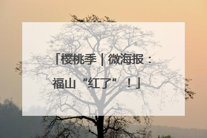 樱桃季｜微海报：福山“红了”！