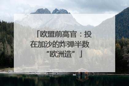 欧盟前高官：投在加沙的炸弹半数“欧洲造”