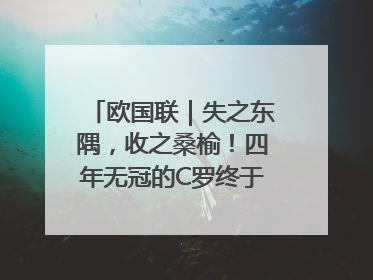 欧国联｜失之东隅，收之桑榆！四年无冠的C罗终于再次举起奖杯