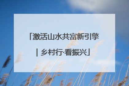 激活山水共富新引擎｜乡村行·看振兴