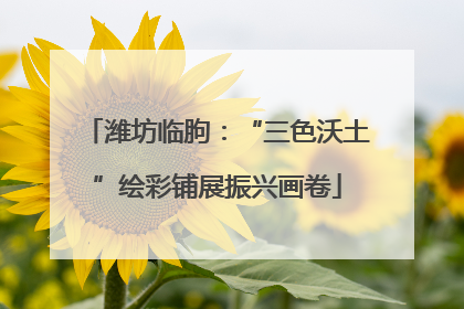 潍坊临朐：“三色沃土”绘彩铺展振兴画卷
