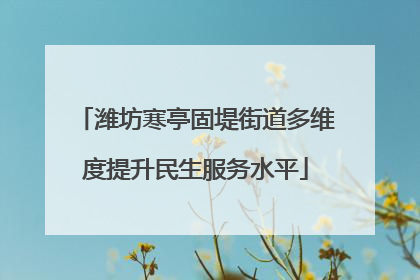 潍坊寒亭固堤街道多维度提升民生服务水平