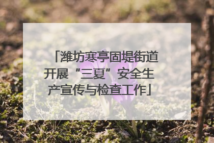 潍坊寒亭固堤街道开展“三夏”安全生产宣传与检查工作
