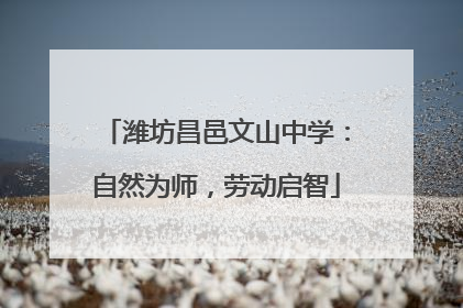潍坊昌邑文山中学：自然为师，劳动启智
