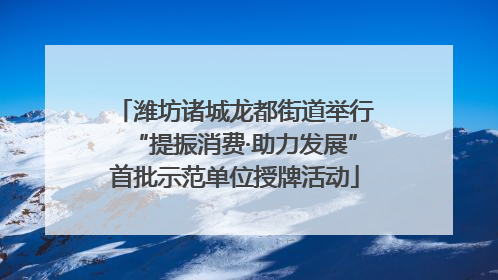 潍坊诸城龙都街道举行“提振消费·助力发展”首批示范单位授牌活动