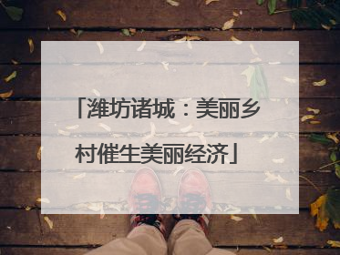 潍坊诸城：美丽乡村催生美丽经济